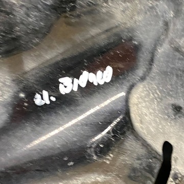 фото thumb №15, Ford bronco 2021 кришка передня / капот двигуна