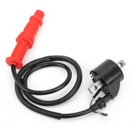 фото thumb №15, Atv катушка зажигания свеча зажигания 3085228