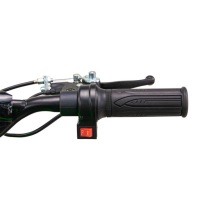 Электрический квадроцикл BILI BIKE ATV 3EB LIT зеленый