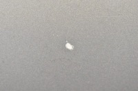 фото thumb №8, Капот кришка двигуна срібляста audi a6 c6 04-11