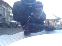 фото thumb №4, Крыло правые перед ford grand c-max mk2 fa