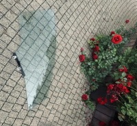 фото thumb №8, Honda civic viii ____ufo стекло дверь______ правый перед 5d___