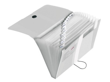 Папка-органайзер А4 Easy Orga с 12 отделениями HERLITZ