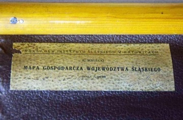 Экономическая карта воеводства Силезский 1938 г., 135х100 см.