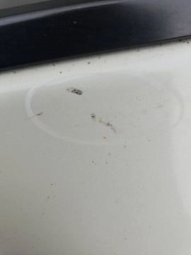 фото thumb №10, 2012 nissan leaf i ze0 дверь задние