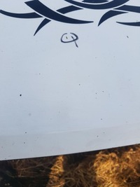 фото thumb №6, Капот крышка двигателя lift citroen jumper ii