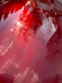 фото thumb №2, Двері лівий перед sandero 2 ii stepway