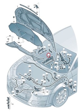 фото thumb №14, Audi tt iii 8s 2015-2023 накладки защитные крылья перед l+p 8s0 б/у