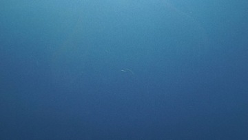 фото thumb №11, Renault scenic iii капот кришка двигуна terpb m851