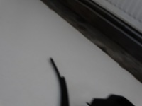 фото thumb №8, Клипса ремней предохранитель. задняя vw golf vi 1k0857739m