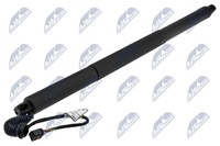 фото thumb №1, Амортизатор задньої кришки nty ae-sk-026