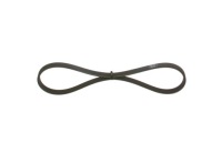 Ремень клиновой многоручьевой Доставка, фото thumb