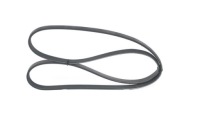 Ремінь клиновий багатореберний Оригінал, фото thumb