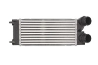 Купить Радиатор воздуха впускной thermotec dap002tt, фото thumb