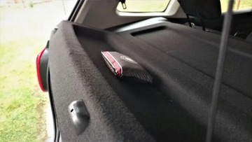Автомобильный поглотитель влаги PINGI