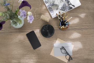 Портативный спикерфон Jabra Connect 4s