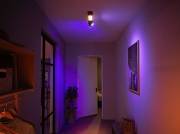 Philips Hue Centris 2-spot black special form BT