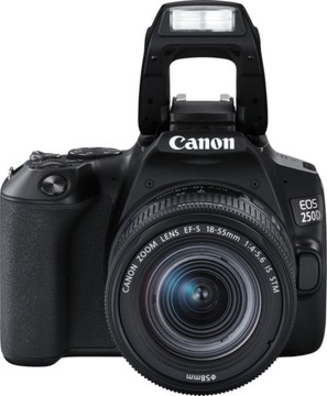 Canon EOS 250D + EF-S 18-55mm f/4-5.6 IS STM