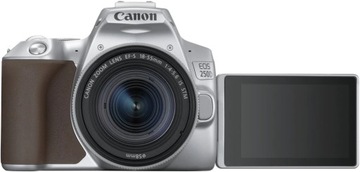 Комплект Canon 250D + 18-55 IS STM, серебристый