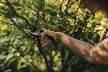 Ножничный секатор P321 НОВИНКА Fiskars НОВИНКА