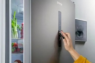 GORENJE Холодильник с морозильной камерой N619EAW4
