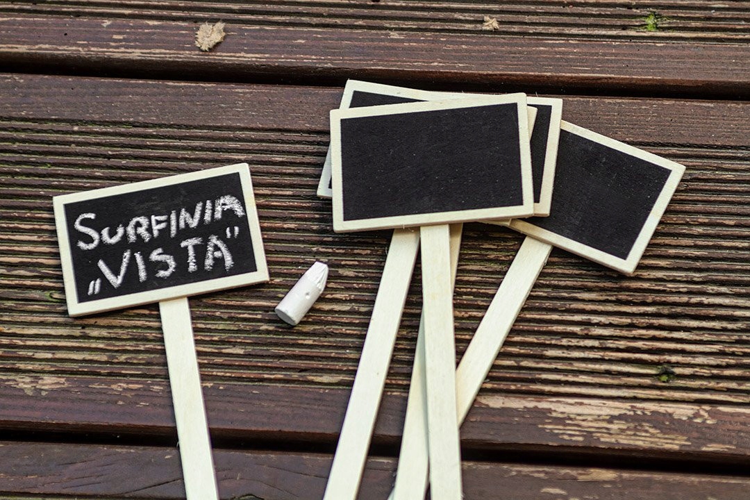 VERTO TABLICZKI SADOWNICZE ETYKIETY ZNACZNIKI DO OPISU ROŚLIN 5SZT 15G460