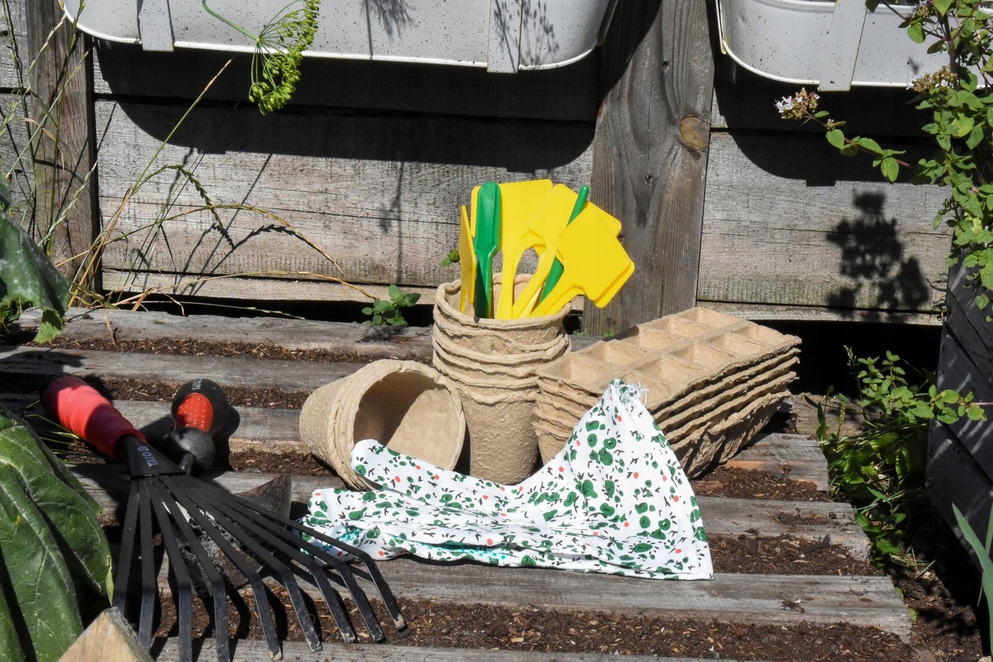 ZESTAW DO ROZSAD SADZONEK DONICZKI TORFOWE 63 ELEM