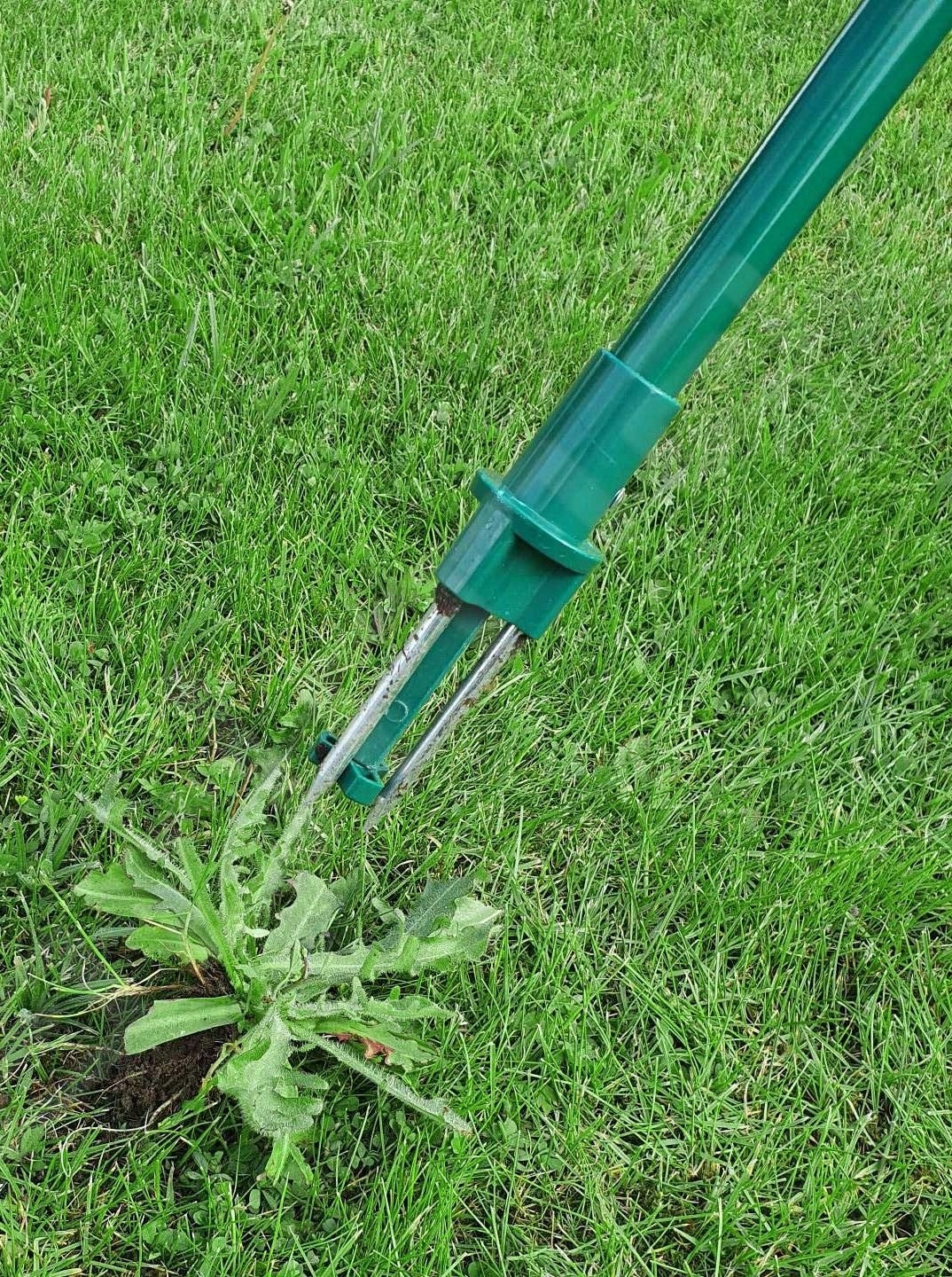 FLO WYRYWACZ WYCINAK DO USUWANIA CHWASTÓW CHWASTOWNIK 80CM STAL +ABS 35673