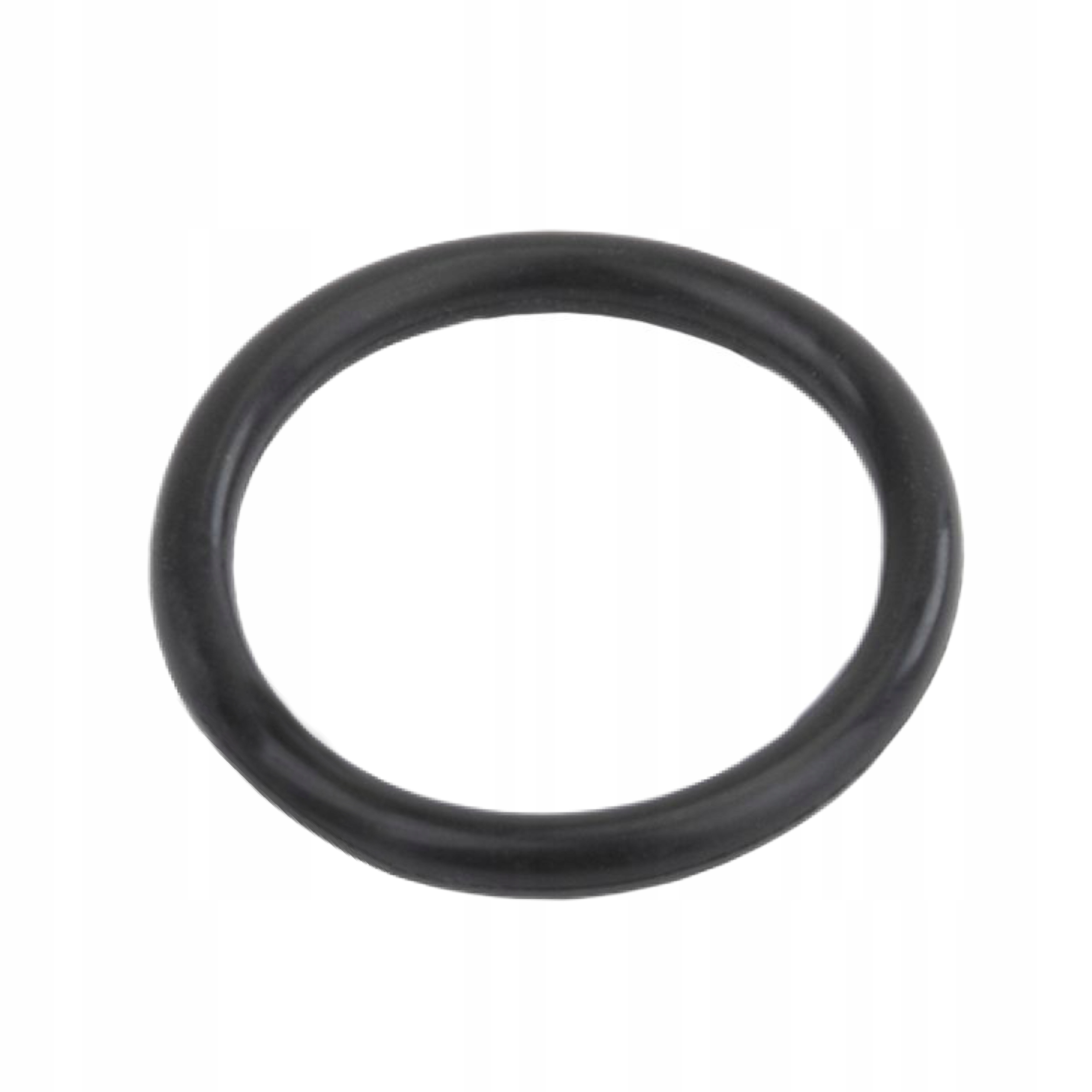 DYSZA DO AGREGATU TYNKARSKIEGO Z USZCZELKĄ POWERMAT PM-AGT-3000M-DNT10