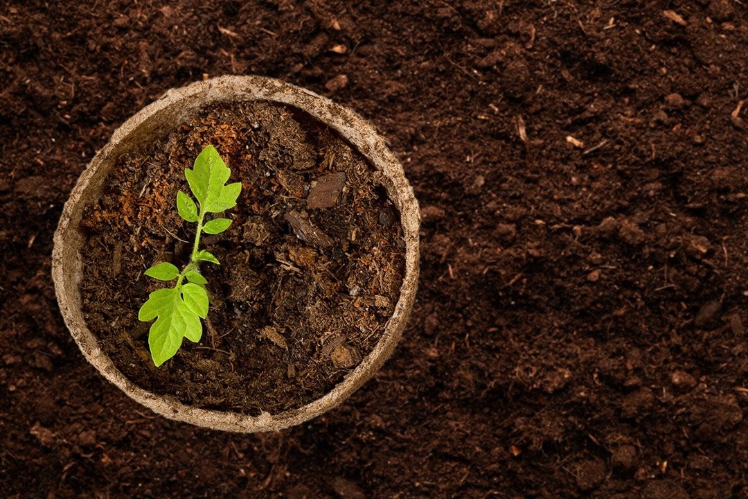 VERTO ROZSADNIKI TORFOWE DONICZKI DO ROZSADU 60SZTUK BIODEGRADOWALNE 15G463