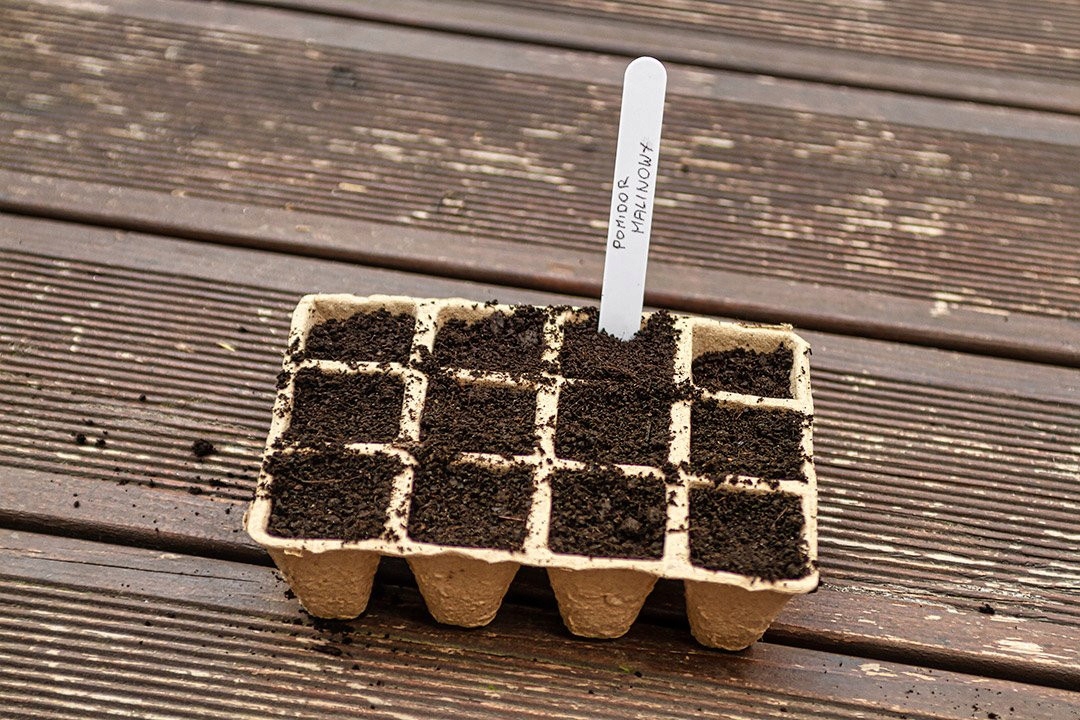 VERTO DONICZKI TORFOWE ROZSADZANIA SADZONEK ROZSADOWE 5 TACEK 60 SZT 15G465