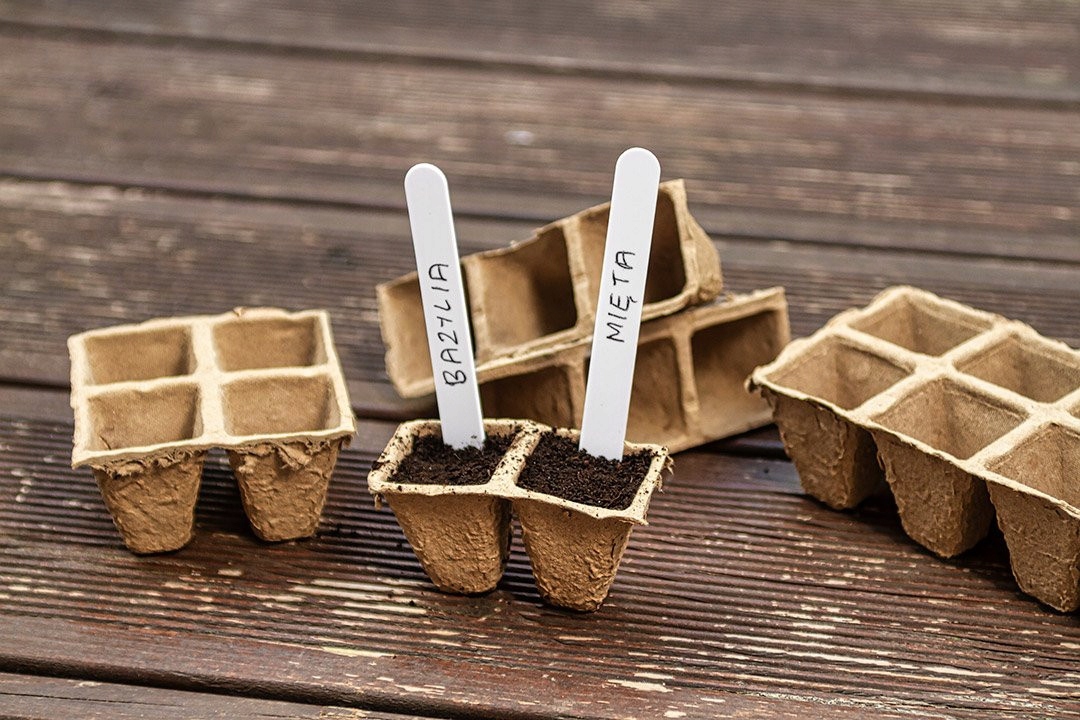 VERTO DONICZKI TORFOWE ROZSADZANIA SADZONEK ROZSADOWE 5 TACEK 60 SZT 15G465