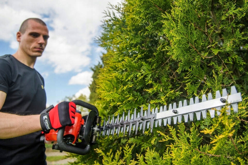 NOŻYCE DO ŻYWOPŁ 25.4 CC FAWORYT PRO NP61 R TPN250