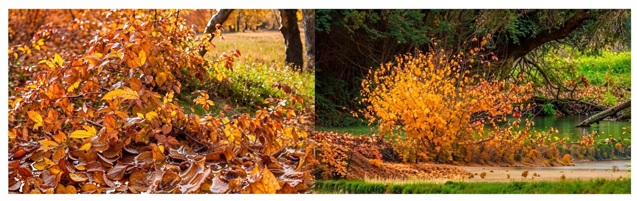 DMUCHAWA SPALINOWA OGRODOWA ODKURZACZ DO LIŚCI ŚNIEGU TRAWY 4,2KM LEKKA