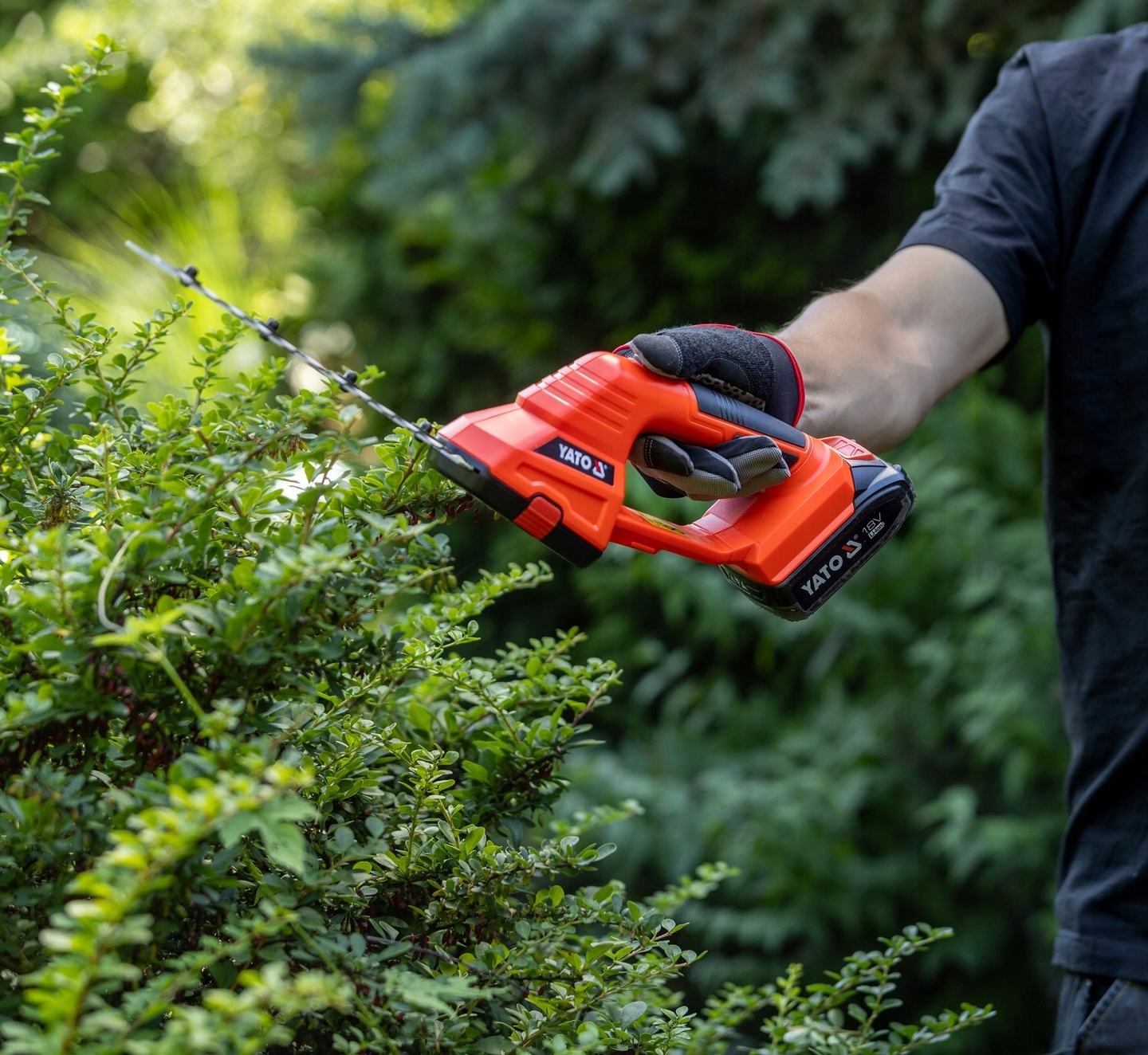 YATO NOŻYCE SEKATOR DO TRAWY ŻYWOPŁOTU AKUMULATOROWY 18V TRYMER YT-828356