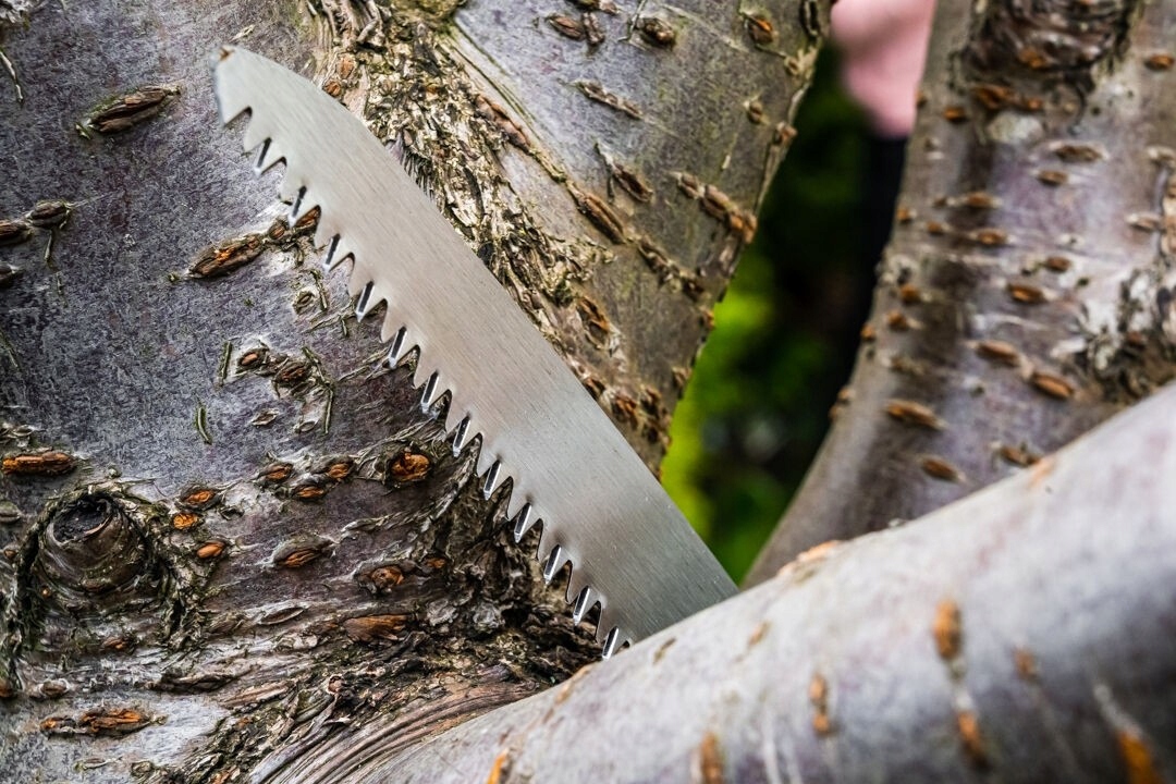 PIŁA OGRODOWA ZE SKŁADANYM OSTRZEM 7 TPI LISICA