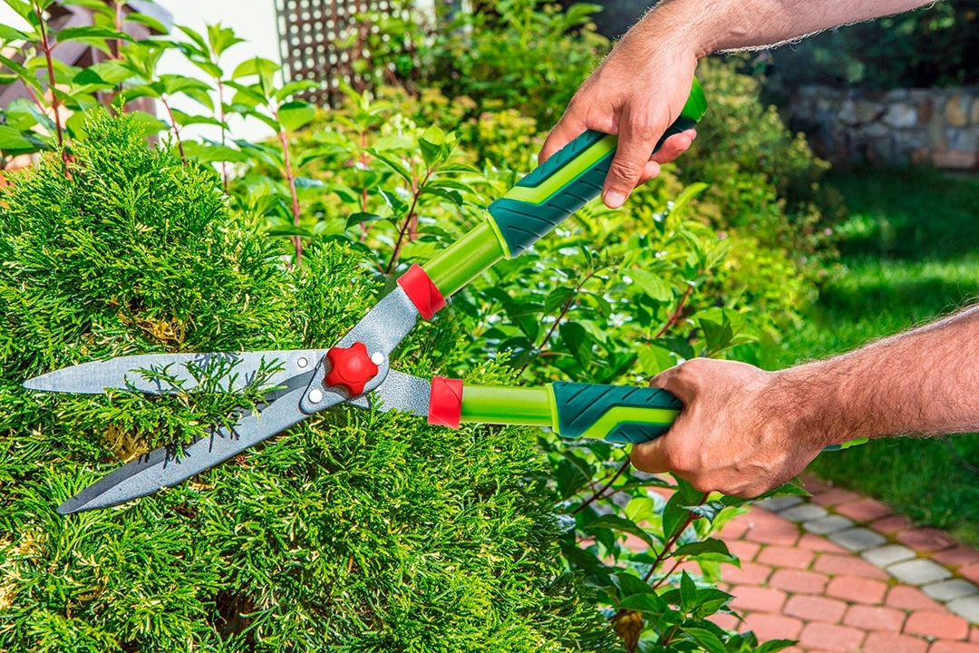 NOŻYCE DO ŻYWOPŁOTU FALISTE 550 MM, VERTO 15G311