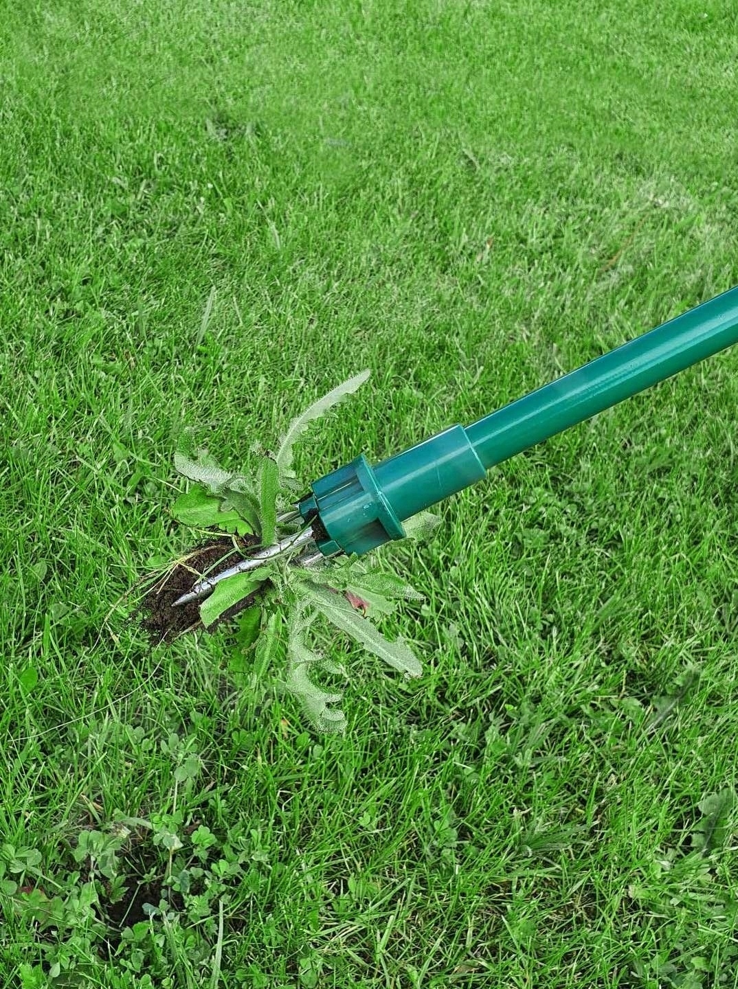 WYRYWACZ WYCINAK DO USUWANIA CHWASTÓW CHWASTOWNIK 80CM 35673 STAL +ABS