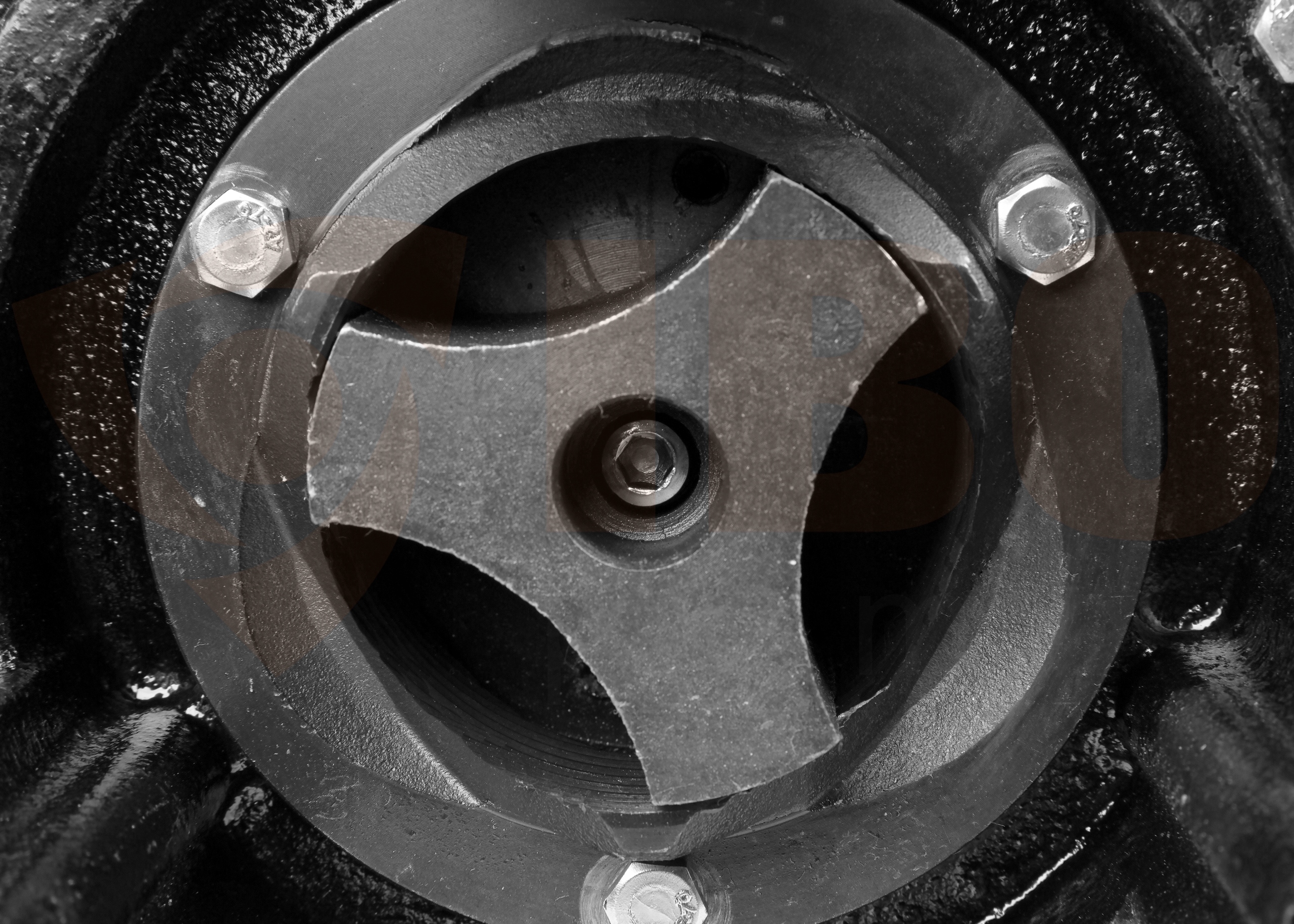 POMPA ZATAPIALNA WQ 15-7-1,1 ROZDRABNIACZ PŁYWAK