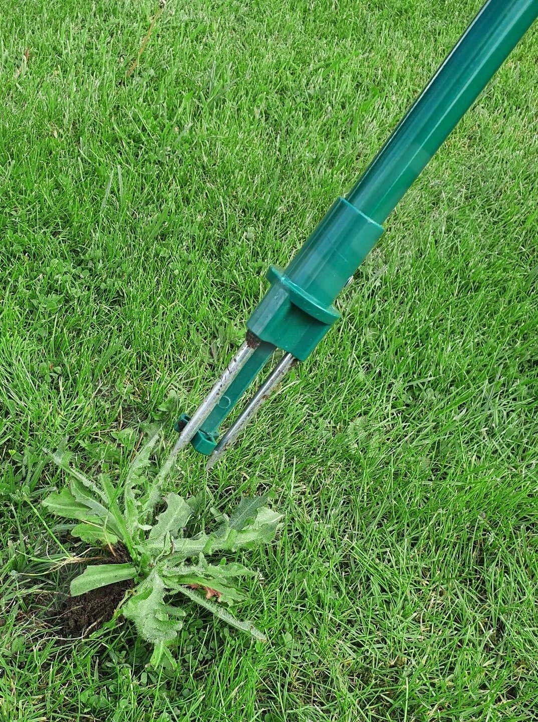 WYRYWACZ WYCINAK DO USUWANIA CHWASTÓW CHWASTOWNIK 80CM 35673 STAL +ABS