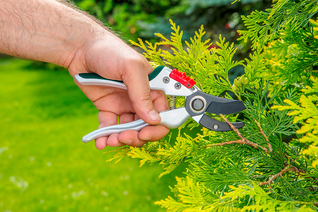 SEKATOR KOWADEŁKOWY 195 mm śr. 18 mm VERTO 15G207