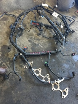 Ford focus 1.6 tdci жгут двигателя 8m5t-14a280 фото №1