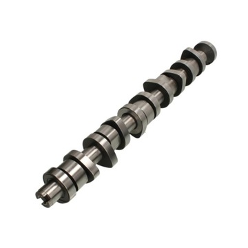 Вал распределительный механизм. california t5 t5 touareg i 03-10 2.5 фото №1