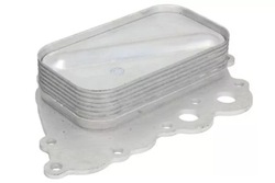 Радіаторів масла mercedes a w169 , b w2 фото №1