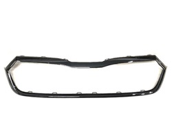 Планка чёрная решётка решётка skoda octavia 4 iv фото №1