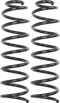 Набор пружины подвешивание зад renault megane ii 1.4-2.0d 2002-2009 фото №1