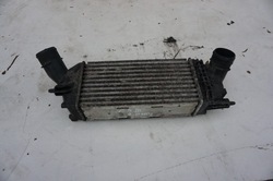 Радіаторів інтеркулер citroen c5 iii x7 2.0 hdi фото №1