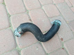 Шланг води 0.9 renault captur 2 ii 215030232r фото №1