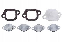 Заглушки клапан коллектора впускного alfa romeo фото №1