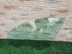 Стекло левая перед bmw x5 g05 фото №1